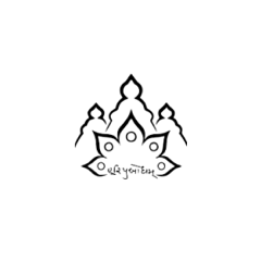 Referenz der Yogi Divine Society – Kino gemietet in der Kulturbrauerei Berlin für eine Veranstaltung, organisiert mit Red Carpet Event. Kooperation und Ablauf waren unkompliziert und erfolgreich.